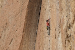dsc5654