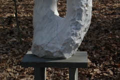 <city,state> USA, <date>, - <These are from ....>, PHOTO CREDIT - Dave Patterson