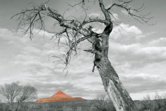 epv0079-bwcolor-edit